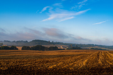 Paysage campagne 1442