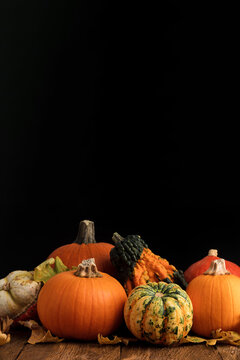 Various orange pumpkins decorated with dry leaves on a rustic wooden table. The concept of autumn, halloween, harvest. Free space for text 