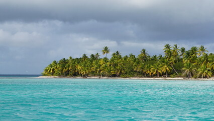 a sea of palms on Isla Saona in the Dominican Republic in the month of February 2022