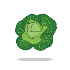 Art illustration Symbol logo botany design concept icon vegetables of broccoli leaf