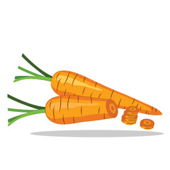 Art illustration Symbol logo botany design concept icon vegetables of carrot