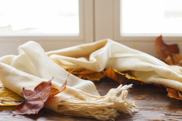 autumn leaves with a scarf on a beige background with copy space