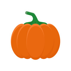Pumpkin.Color vector illustration in cartoon flat style. PNG with transparent background.