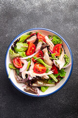 chicken breast salad tomato, green lettuce, red onion healthy meal food snack diet on the table copy space food background 