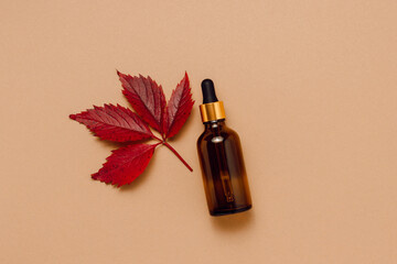 Glass dropper bottle of serum with red autumn leaf on brown background, natural skincare, organic moisturizing facial oil, minimal aesthetic concept, top view, flat lay