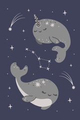 Cute vector illustration. Cute whale and narwhal floating in the sky among the stars. Fish in space. Cute magical illustration 