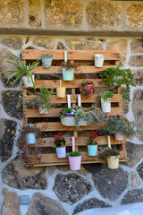 Set of different garden plants in pots, some with flowers, hanging on a wall.