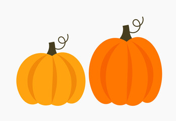 Two big pumpkins isolated on white background. Autumn pumpkins
