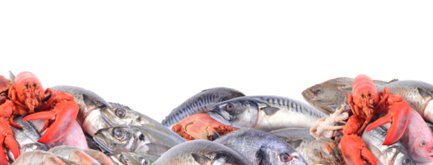 Fresh seafood