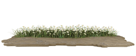 Decorative park and garden flowers.3D rendering