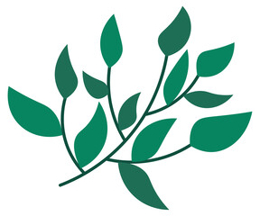 leaves isolated on white