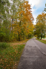 Autumn forest in the rays of the sun and the road in autumn colors. Day.