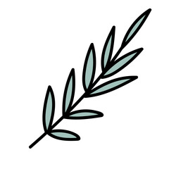 Minimal scandinavian doodle plant branch isolated on transparent background. Nordic doodle in folklore style