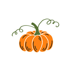 Pumpkin. Thanksgiving and Halloween Elements. Hand drawn vector illustration.