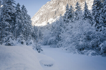 Fototapeta premium snowy winter landscape crossed by a river 