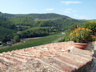 Old roof of the Tuscan villa amongst vineyards and an olive groves