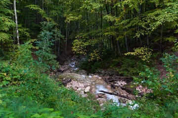 River rapids in the mountains