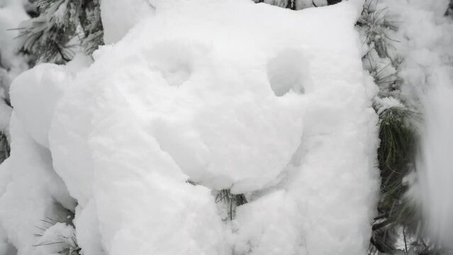 Snow face on a tree. Snow emoticon, smile. Cheerful winter mood