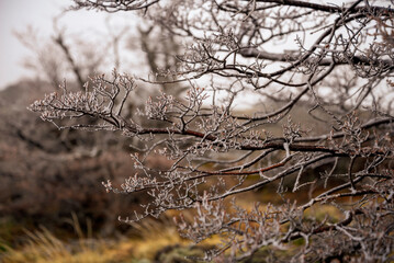 El Chalten, Argentinian Patagonia