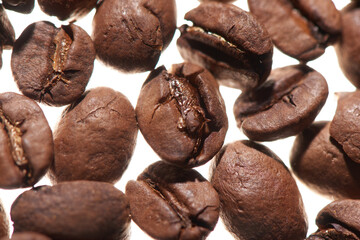 coffee beans on a white background
