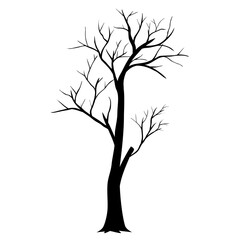 bare tree silhouette 