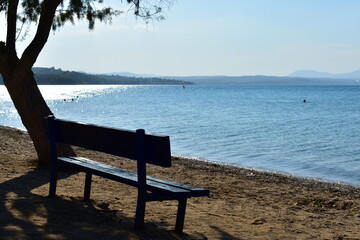 view of the seashore on a clear day  with a bench under a tree
