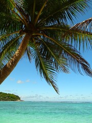 Seychelles, Praslin island, La Farine cove or Flour cove