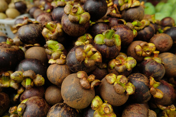 Mangosteen - Close up detail of the mangosteen fruit. Mangosteen fruit in large quantities in the basket