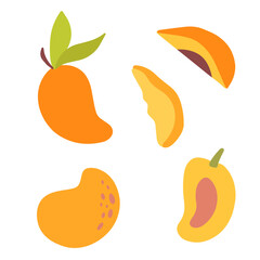 Set of vector fresh organic Mango fruit and slice concept design