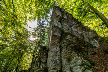 Felsen mitten im Laubwald von Sonne angestrahlt