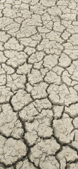 dry cracked earth