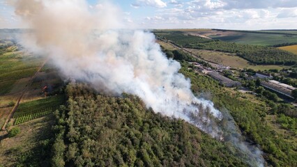 Brush and Pin Trees Landscape Burning with Flame and Smoke
