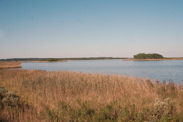 Landscape of Vast Wetlands, Water, Trees, Grasses, and Blue Sky at a Preserve