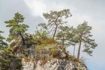 Fototapeta na wymiar Wild landscape in Cevennes National Park, UNESCO World Heritage Site.