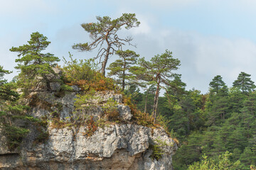 Fototapeta na wymiar Wild landscape in Cevennes National Park, UNESCO World Heritage Site.