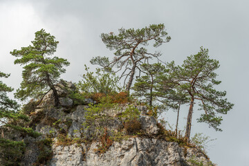 Wild landscape in Cevennes National Park, UNESCO World Heritage Site.