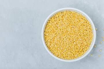 Millet. Organic raw dry Millet grains in bowl on gray stone background