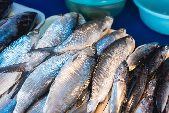 A tray of fresh milkfish or also known by Filipinos as "bangus" is available for purchase in a fish market.