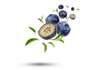 Water splash on fresh blueberry and tea leaves isolated on transparent background. (.PNG)