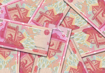 Fototapeta na wymiar Paper money from Uzbekistan. Uzbekistani soum. Close up banknotes from Uzbekistan