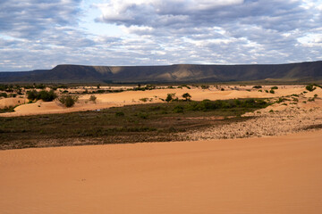 beautiful sunlit sand dunes in jalapão national park