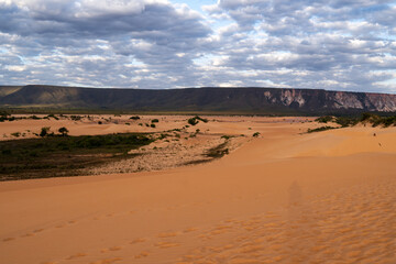 Fototapeta na wymiar beautiful sunlit sand dunes in jalapão national park