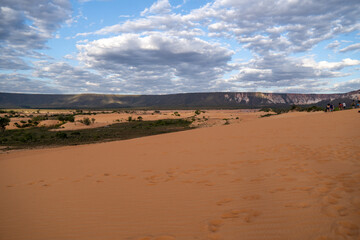 landscape in the desert