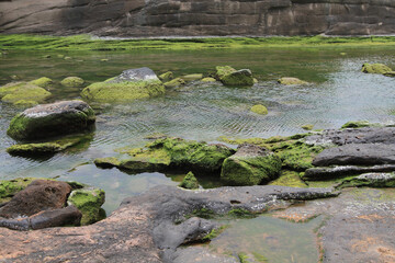 Yehliu natural landscape at Yehliu Geopark in Taiwan 19 April 2011