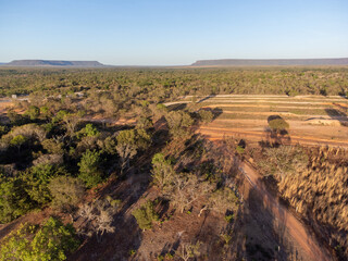 mountains in the background of a low forest