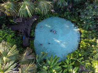azure brewery like a lake in the middle of nature with palm trees