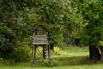 Hunting tower in the forest