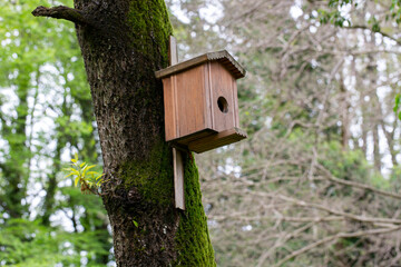 Naklejka premium close-up Bird house on a tree. Wooden birdhouse, nesting box for songbirds in park.