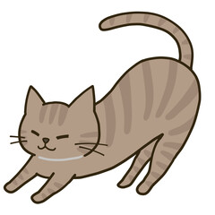 伸びをするシンプルなキジトラ猫