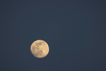 Fototapeta premium full moon in the sky